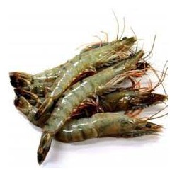 Crevetten 30/40 ganz 1Kg